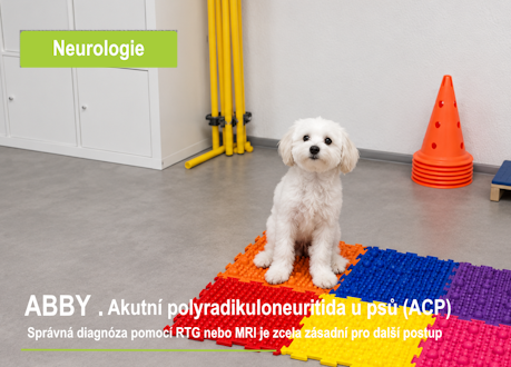 Akutní polyradikuloneuritida u psů