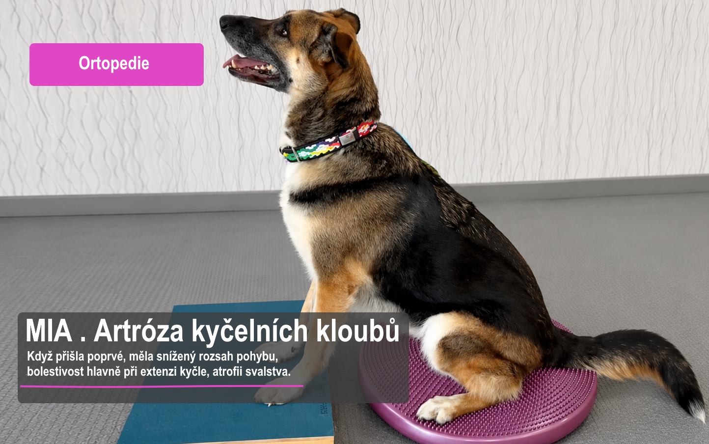 Aartróza kyčelních kloubů