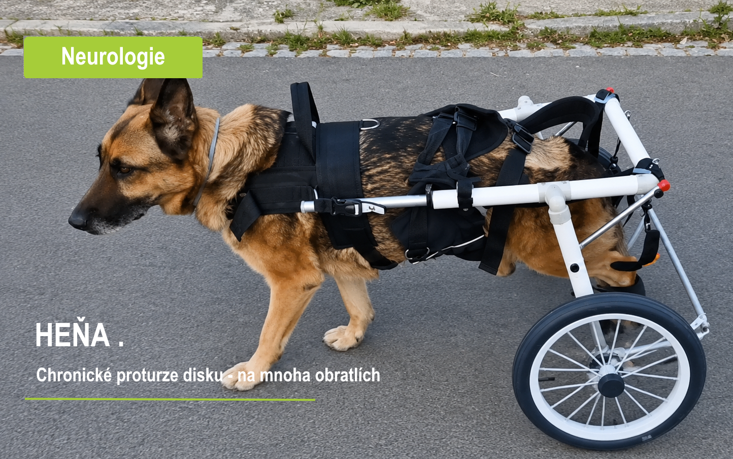 chronické proturze disku - na mnoha obratlích