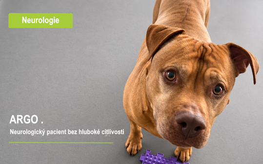 neurologický pacient bez hluboké citlivosti