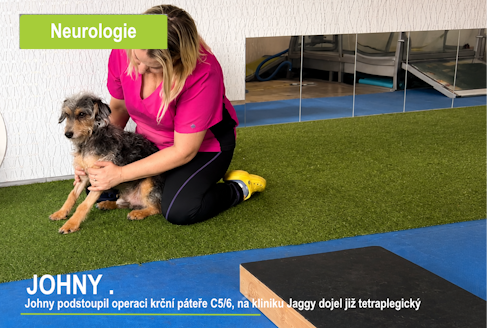 operaci krční páteře C5/6