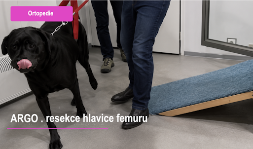 resekce hlavice femuru